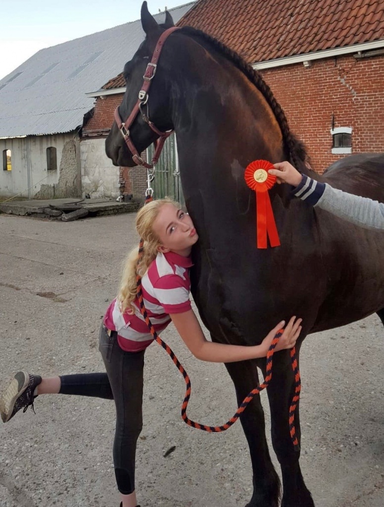 Cover photo of PEGASUS SPORT